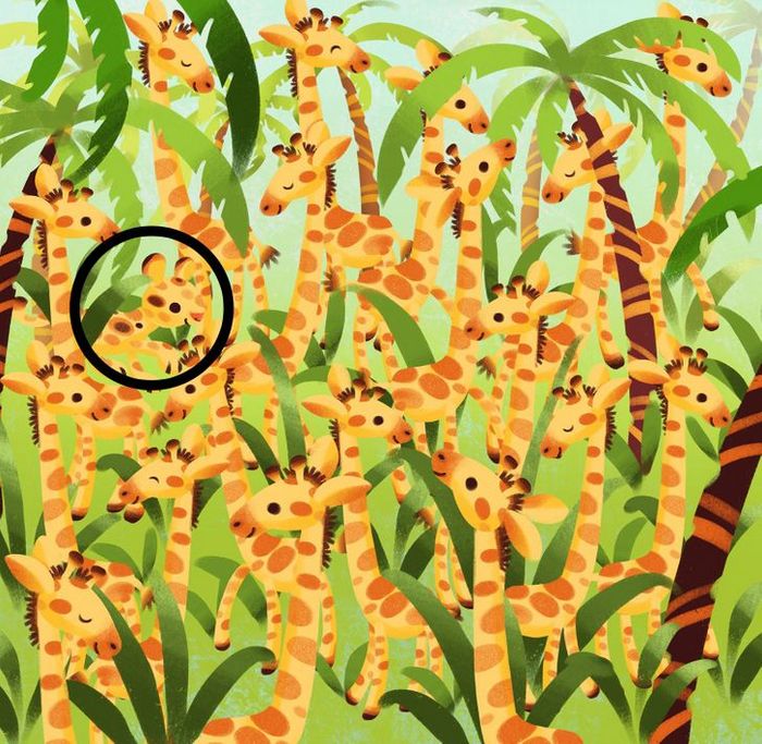 Teste de visão: Prove que você tem olhos de águia 12