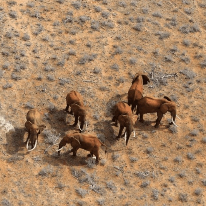 36 fotos de drones surreal que vão te dar frio na barriga 14