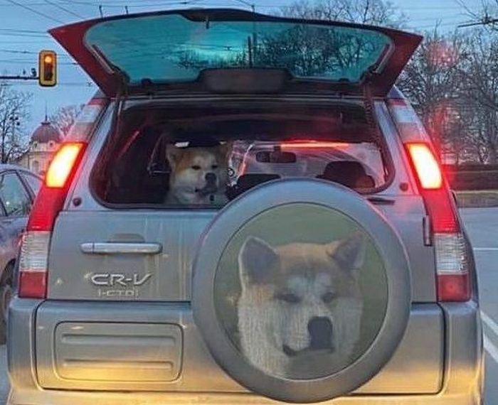 20 fotos que provam que o momento certo podem criar uma obra-prima 16