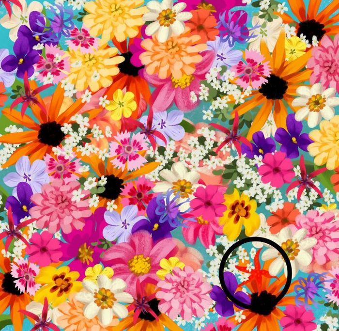 Teste de visão: Prove que você tem olhos de águia 14