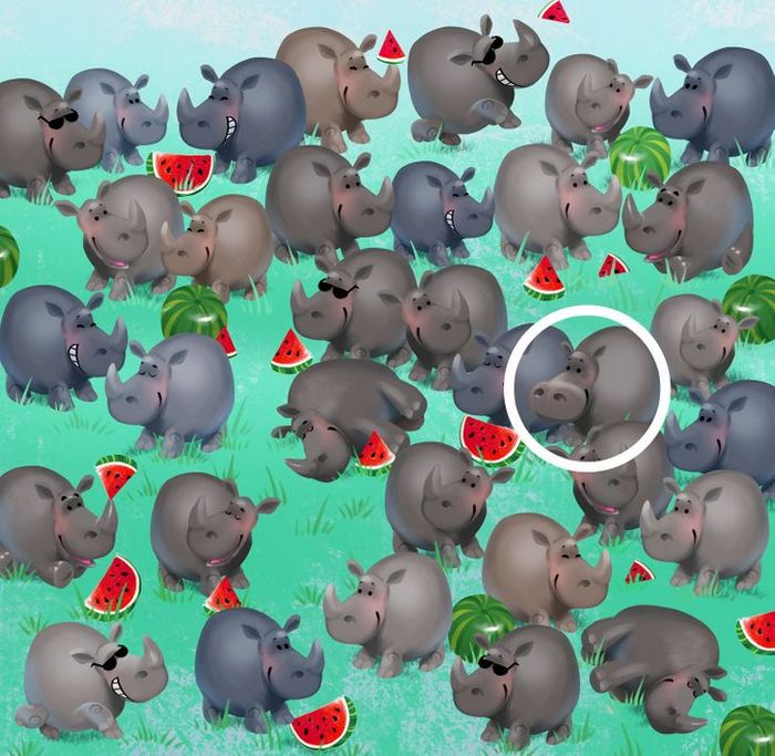 Teste de visão: Prove que você tem olhos de águia 16