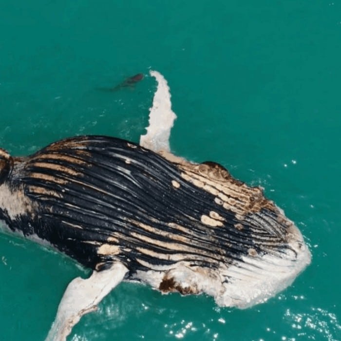 36 fotos de drones surreal que vão te dar frio na barriga 18