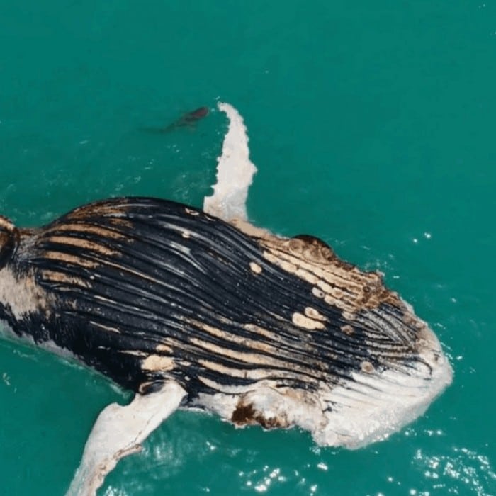 36 fotos de drones surreal que vão te dar frio na barriga 17