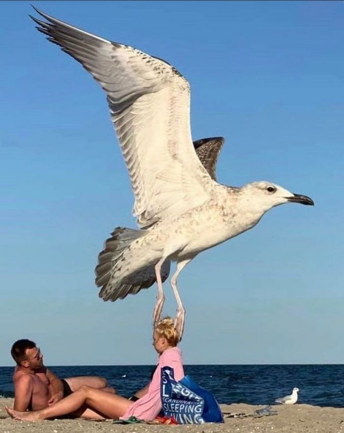 20 fotos que provam que o momento certo podem criar uma obra-prima 19