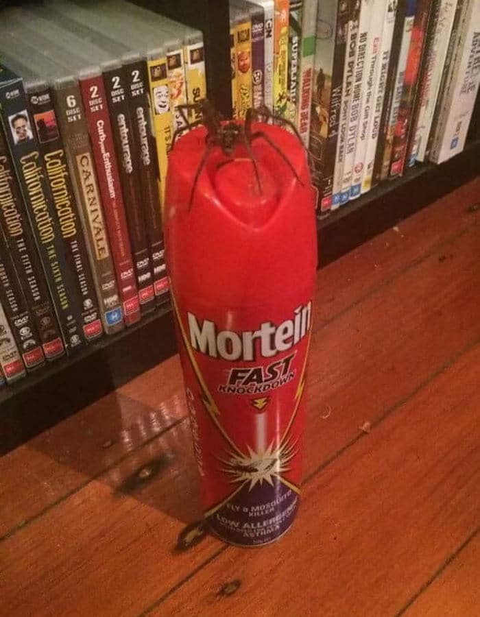 41 pessoas que tiveram um dia de azar 19