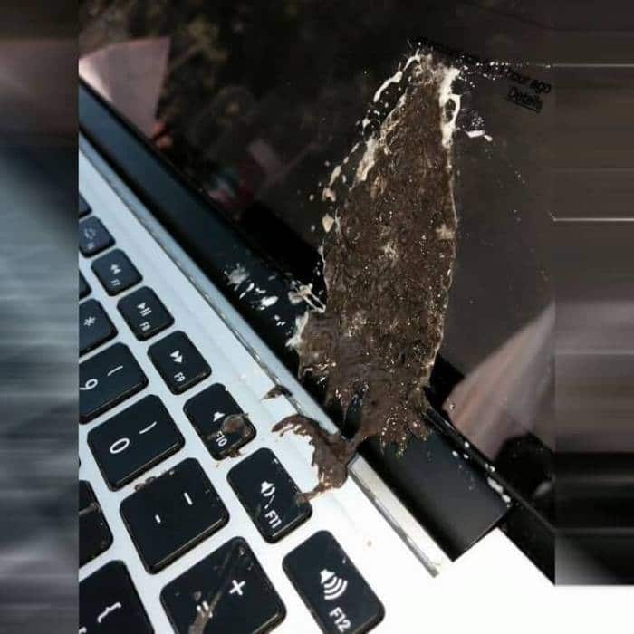 41 pessoas que tiveram um dia de azar 21