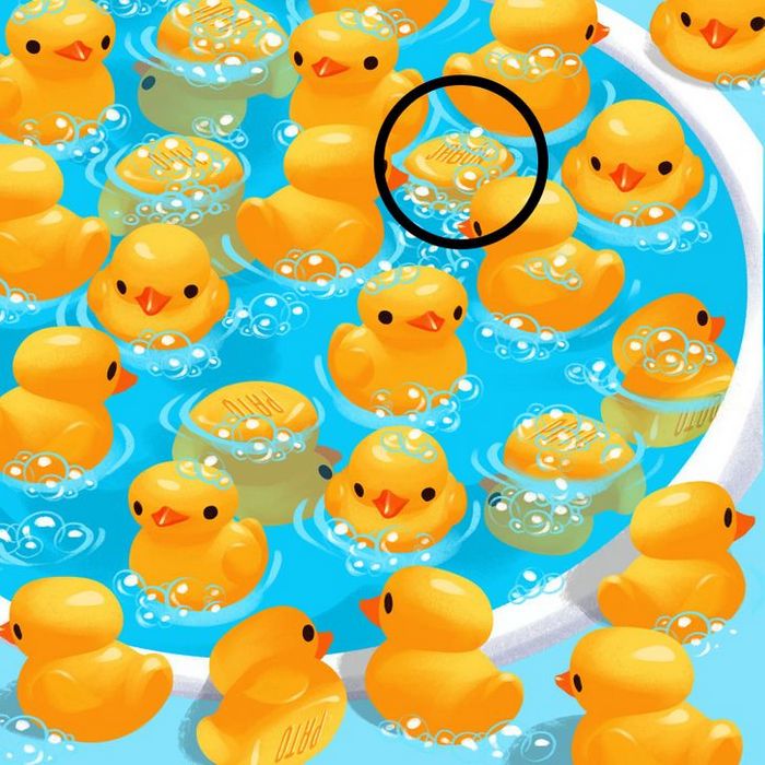 Teste de visão: Prove que você tem olhos de águia 26