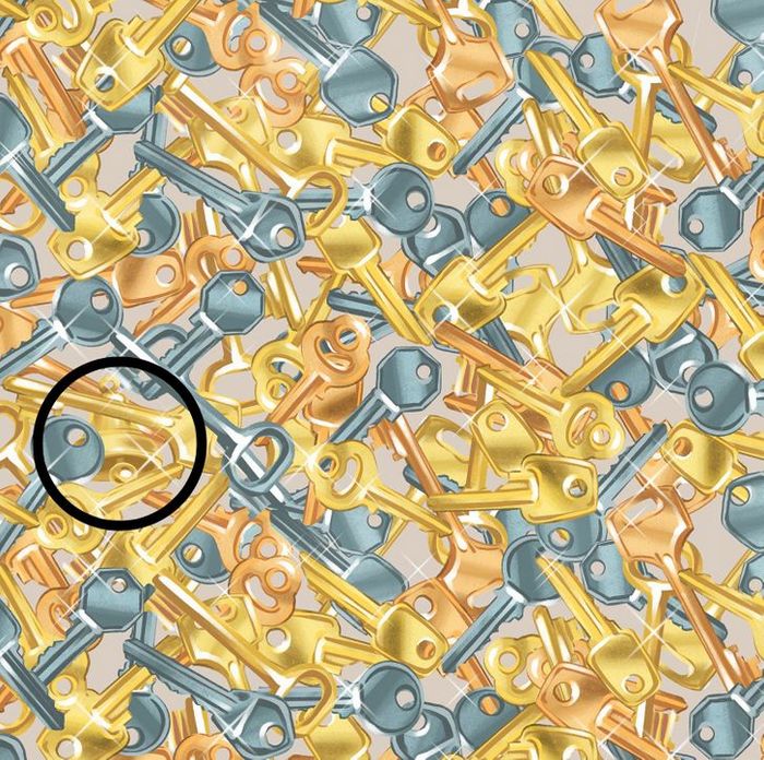 Teste de visão: Prove que você tem olhos de águia 28