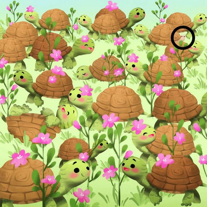 Teste de visão: Prove que você tem olhos de águia 30