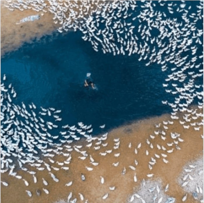 36 fotos de drones surreal que vão te dar frio na barriga 31