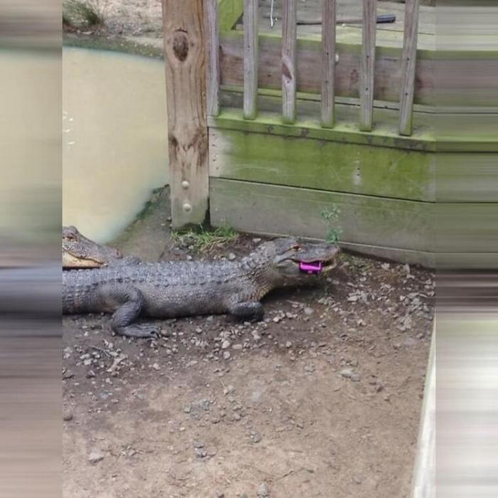 41 pessoas que tiveram um dia de azar 31