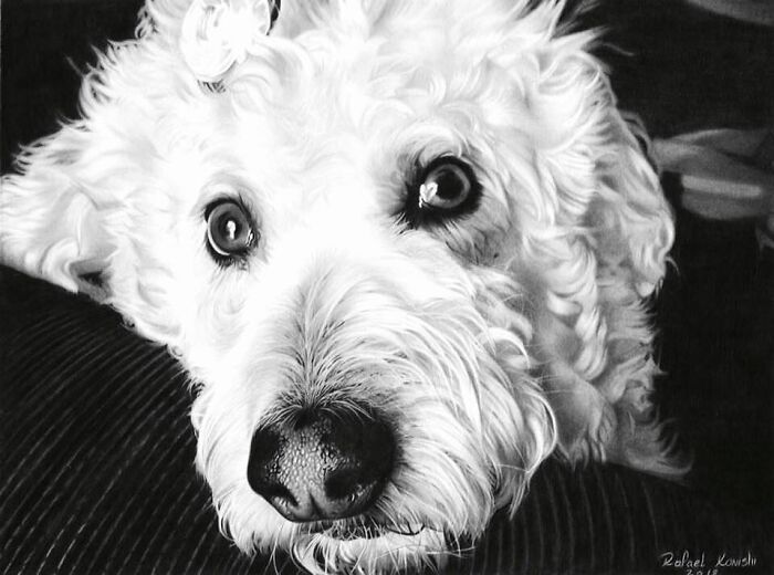 35 desenhos a lápis hiper-realistas por Rafael Konishi 33