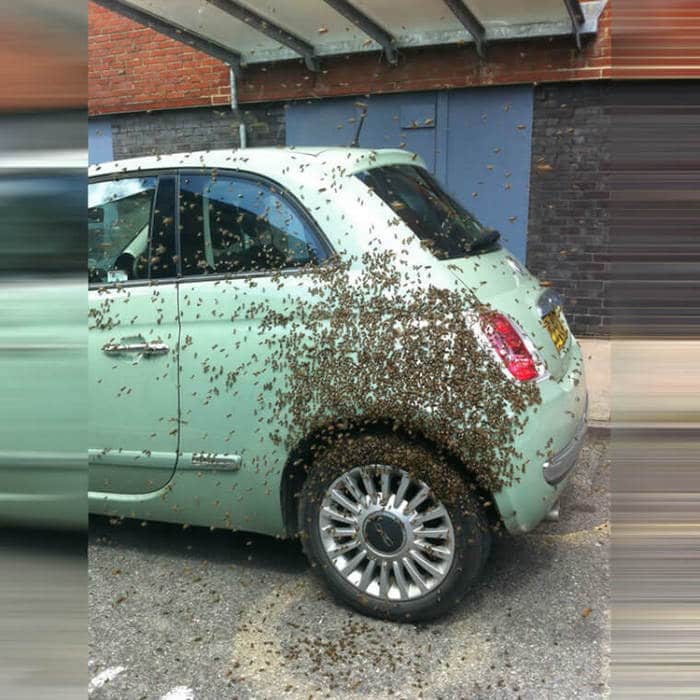 41 pessoas que tiveram um dia de azar 34