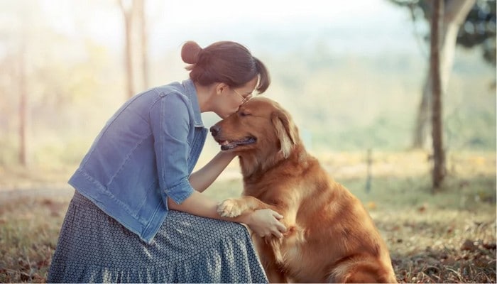 A ciência comprova que os cachorros conseguem entender emoções de seus donos 2