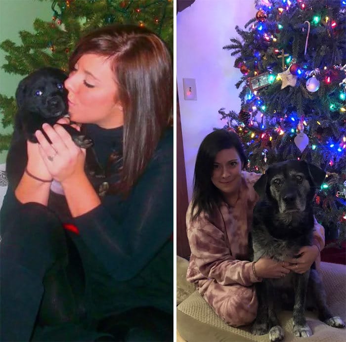 40 adoráveis ​​cães antes e depois de crescer 34