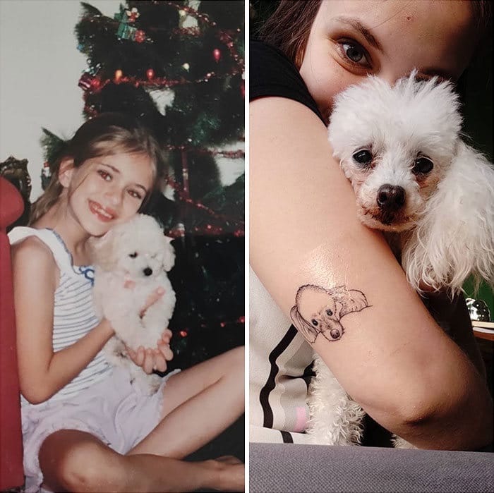 40 adoráveis ​​cães antes e depois de crescer 37