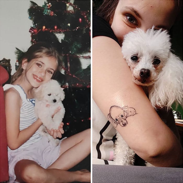 40 adoráveis ​​cães antes e depois de crescer 36