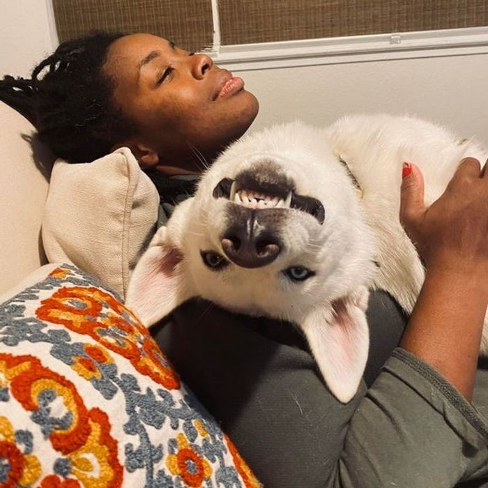 23 animais que não têm ideia de como são adoravelmente bocó 4