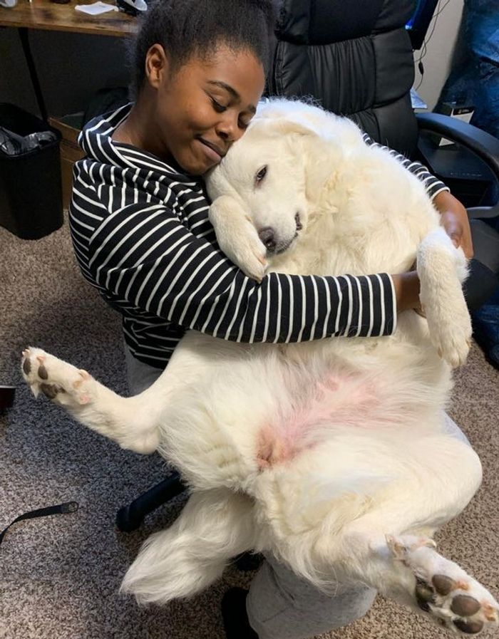 23 animais que não têm ideia de como são adoravelmente bocó 5