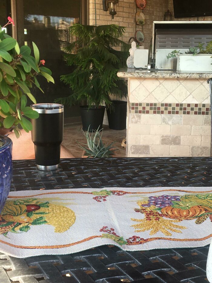 40 cães curiosos que observam tudo o que está acontecendo ao seu redor 15