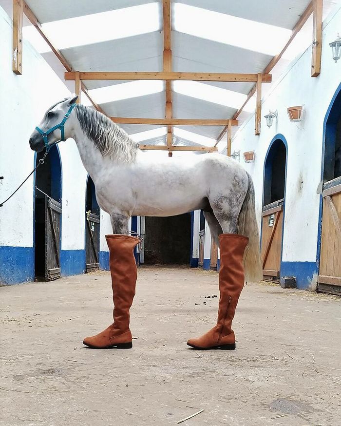 Este fotógrafo usa o poder da perspectiva para criar 40 fotos incríveis 36