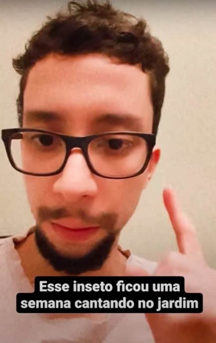 Rapaz não suporta mais o barulho do inseto, ele teve uma ideia 2