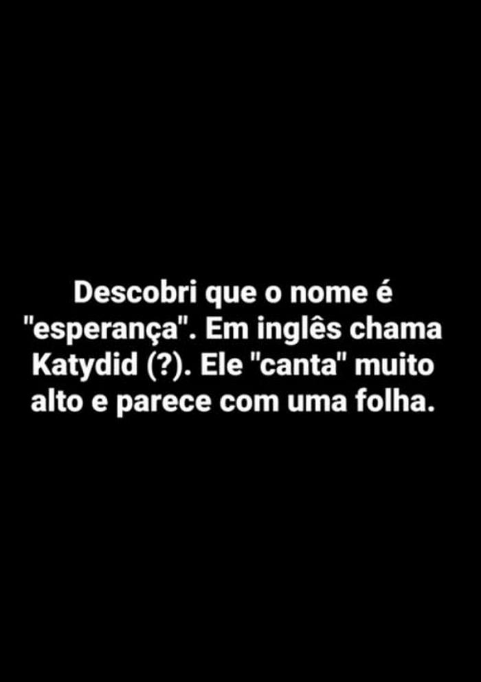 Rapaz não suporta mais o barulho do inseto, ele teve uma ideia 3
