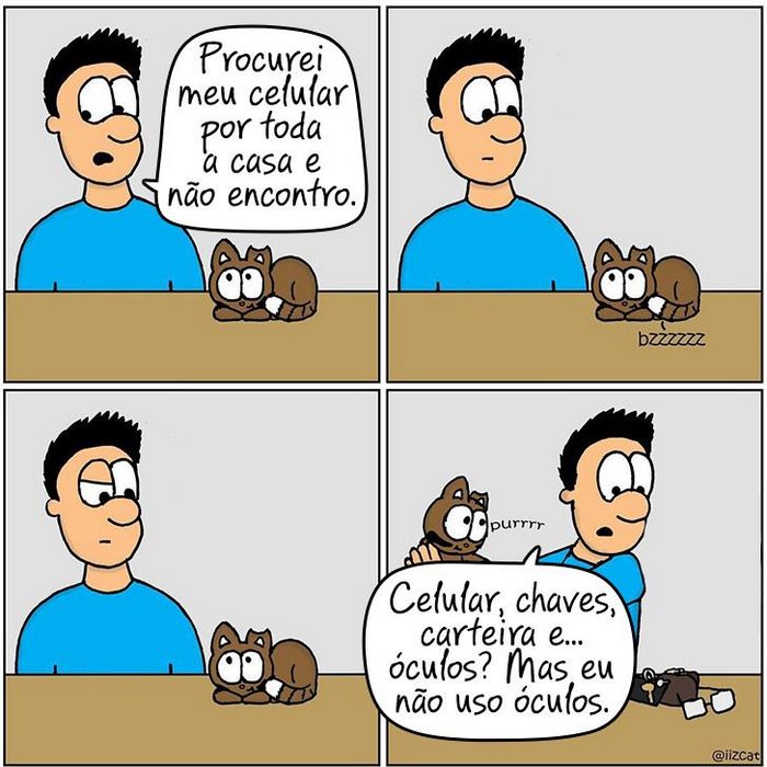 19 divertidas situações da vida quando um gato deixa você morar na casa dele 1