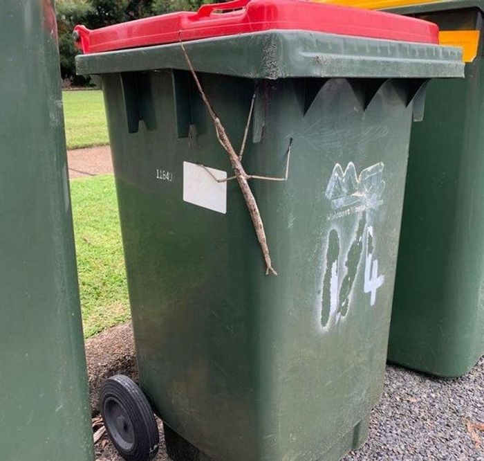 18 motivos que a Austrália é um país surpreendente 1