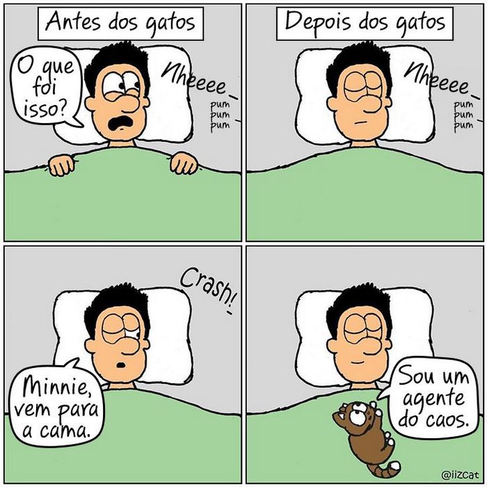 19 divertidas situações da vida quando um gato deixa você morar na casa dele 2