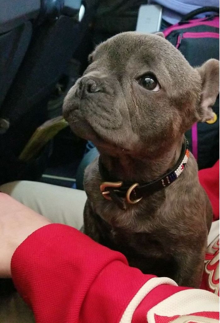 25 viajantes que ninguém esperava encontrar em uma viagem 2