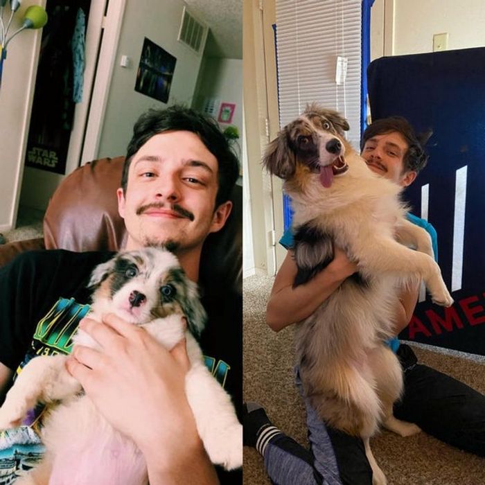 15 animais que era pequeno que se transformaram em grandes e majestosos 3