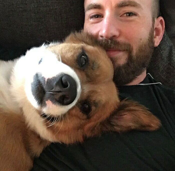 38 celebridades que são verdadeiros amantes de cães 4