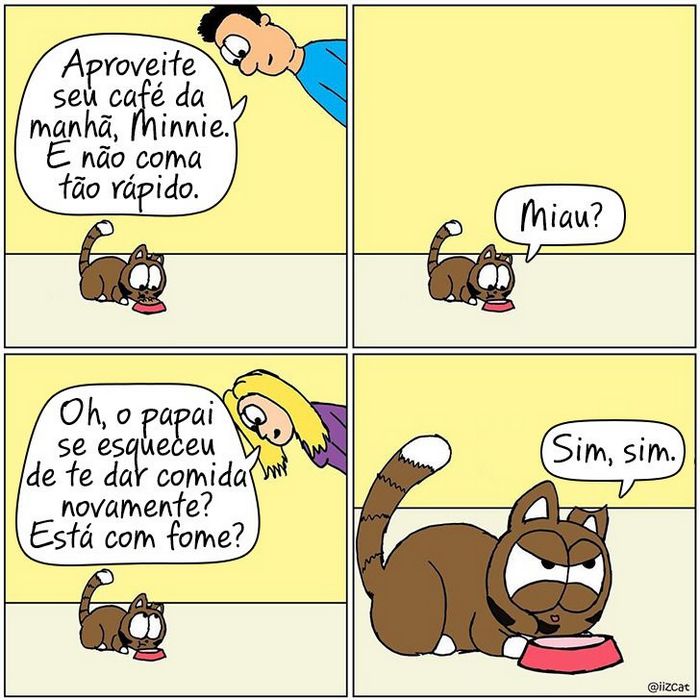 19 divertidas situações da vida quando um gato deixa você morar na casa dele 3