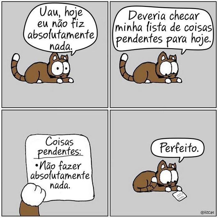 19 divertidas situações da vida quando um gato deixa você morar na casa dele 4