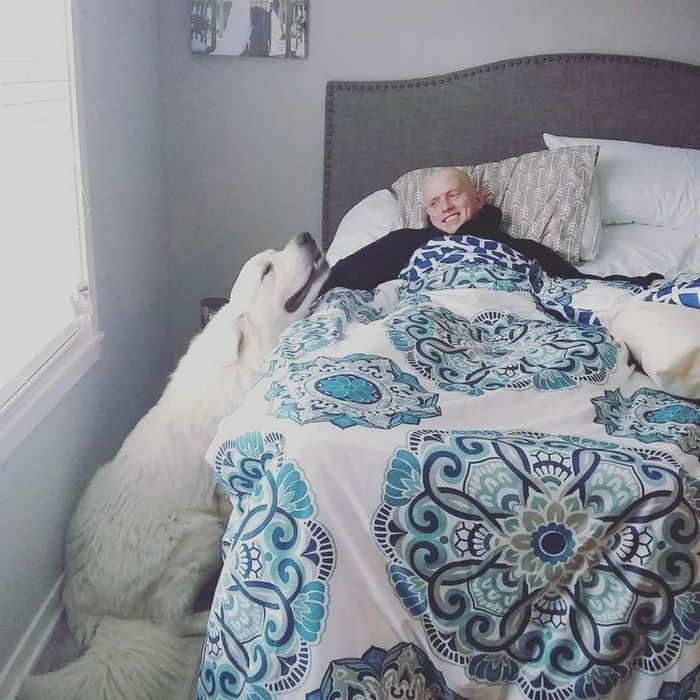20 fotos que provam que animais e humanos são inseparáveis, como as duas faces da mesma moeda 5