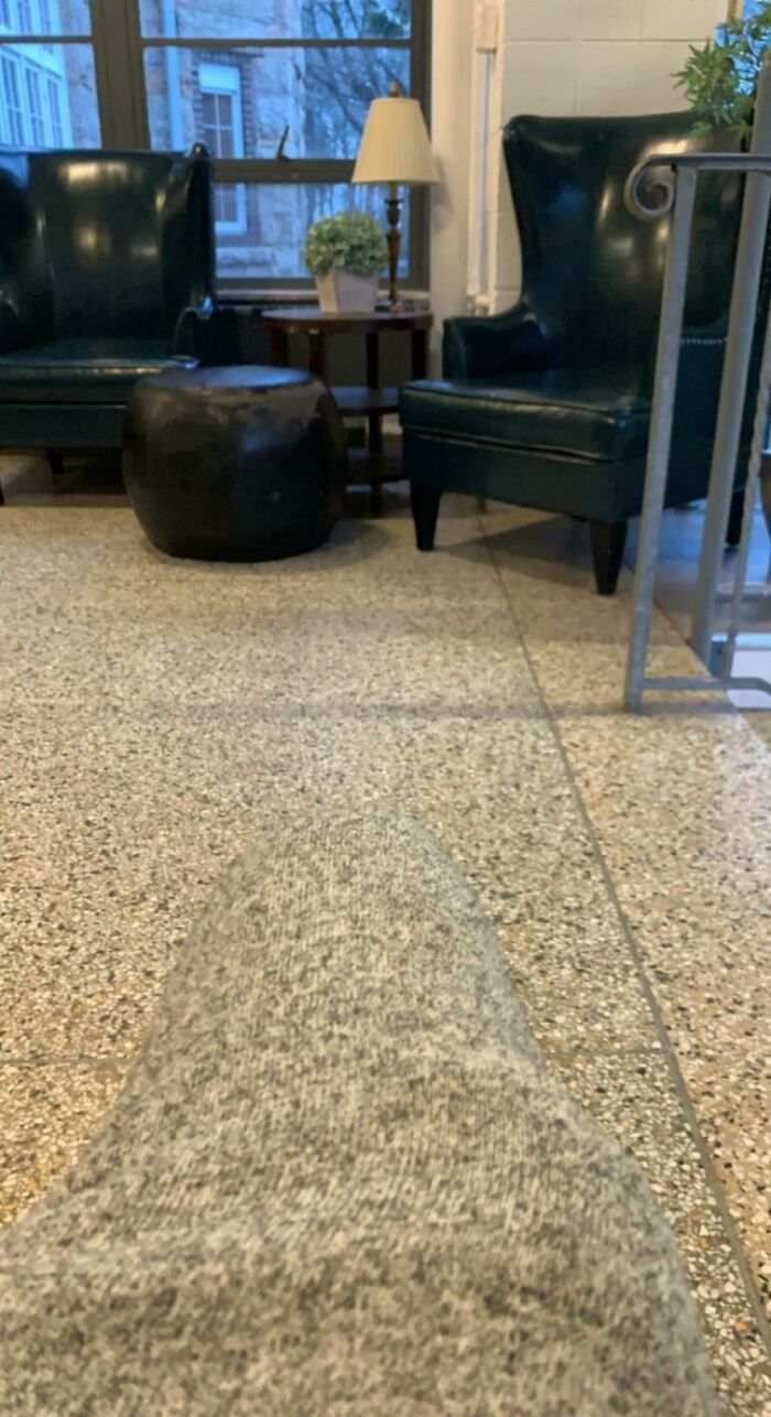 25 que escondem verdadeiros mestres da camuflagem acidental 4