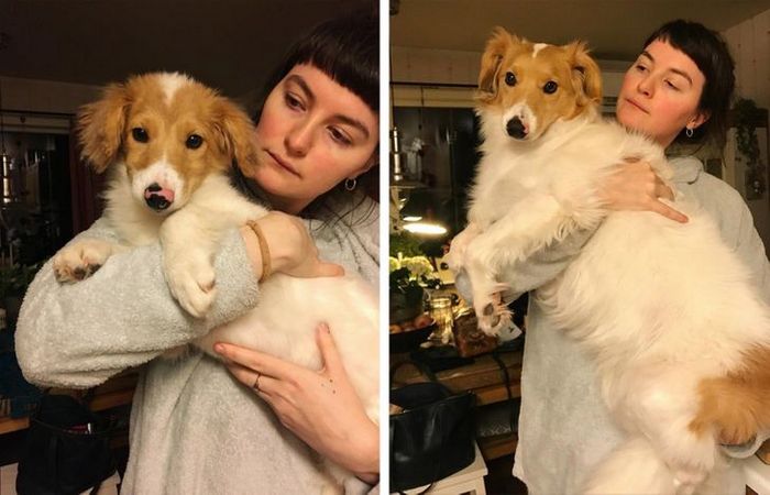 15 animais que era pequeno que se transformaram em grandes e majestosos 5