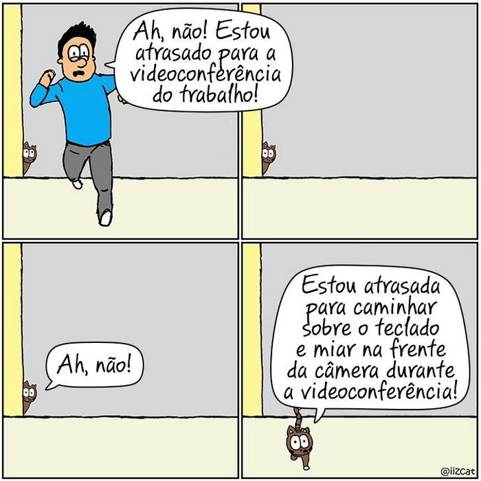 19 divertidas situações da vida quando um gato deixa você morar na casa dele 5