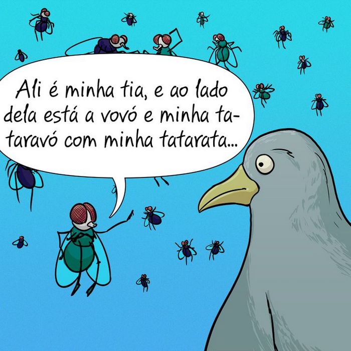 11 fatos sobre moscas que apostamos que você não sabia 5