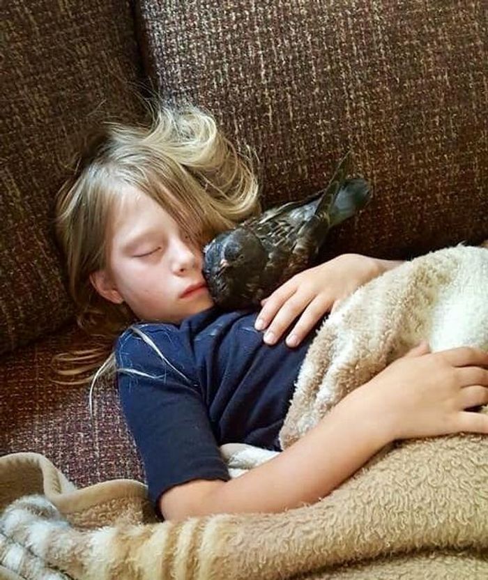 20 fotos que provam que animais e humanos são inseparáveis, como as duas faces da mesma moeda 6