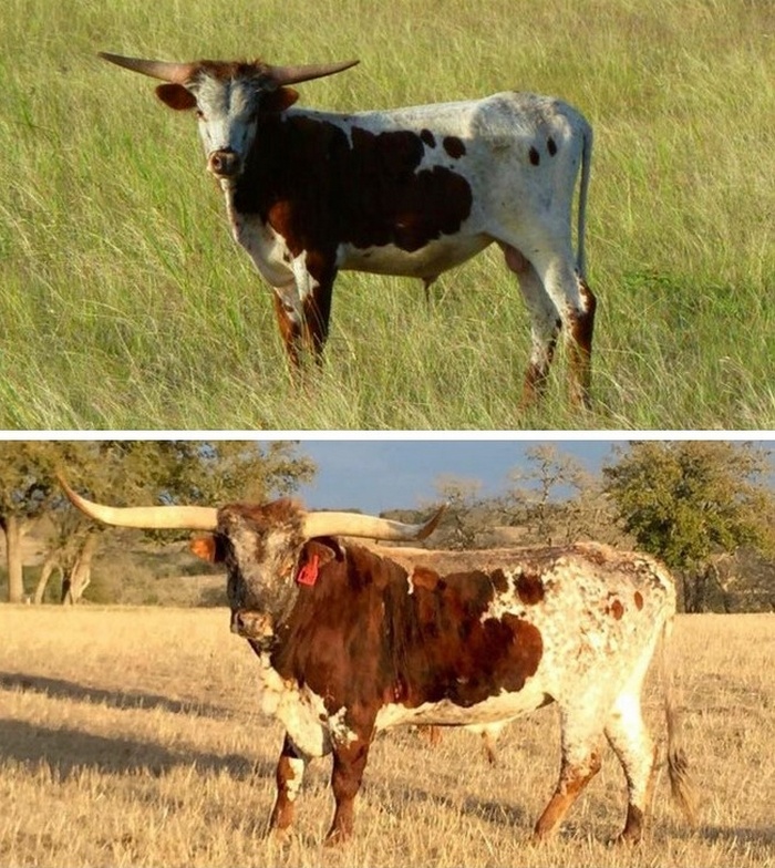 26 vezes que a coincidência se fez presente de um jeito incrível 5