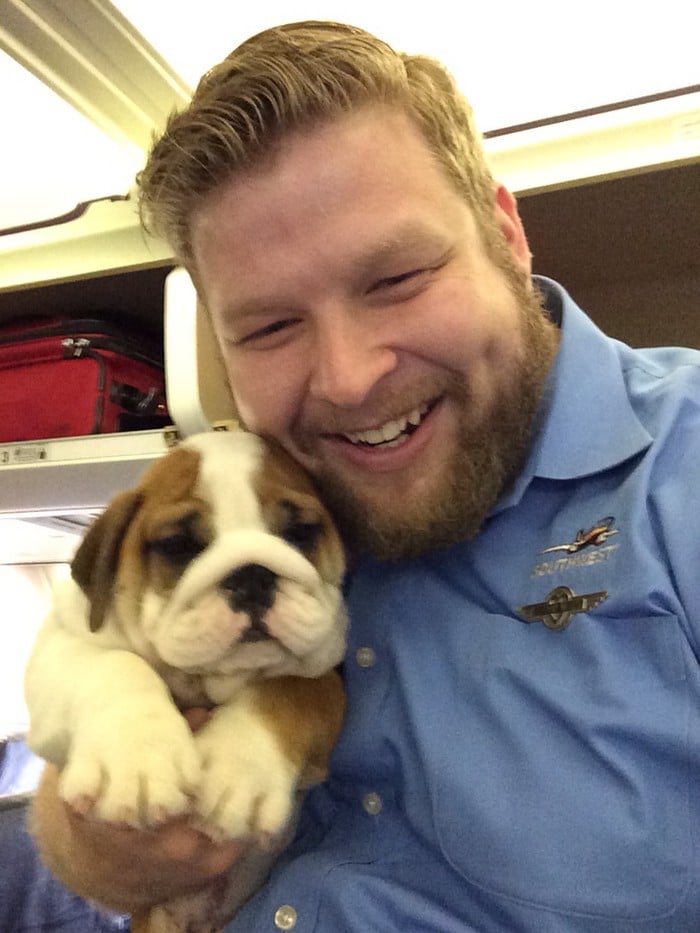 25 viajantes que ninguém esperava encontrar em uma viagem 5