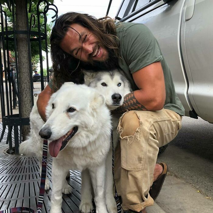 38 celebridades que são verdadeiros amantes de cães 7