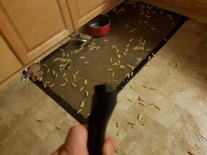 22 pessoas que são verdadeiros desastres na cozinha 7