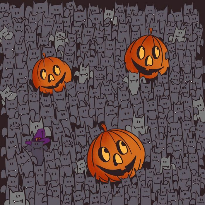 Teste: Encontre o que está se escondendo nessas 15 fotos 11