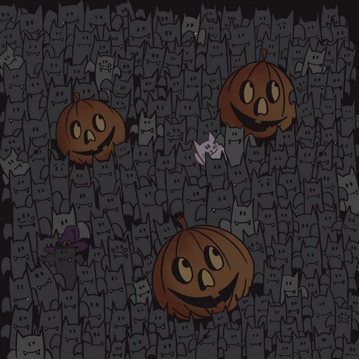 Teste: Encontre o que está se escondendo nessas 15 fotos 12