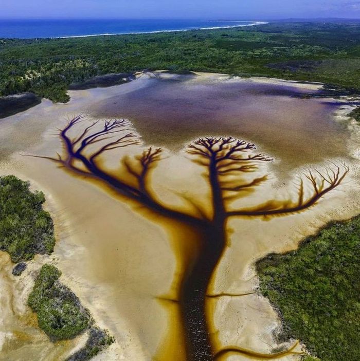 20 vezes a mãe natureza abençoou as coisas com um pouco mais de charme 6