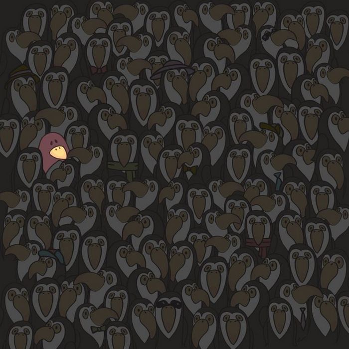 Teste: Encontre o que está se escondendo nessas 15 fotos 14