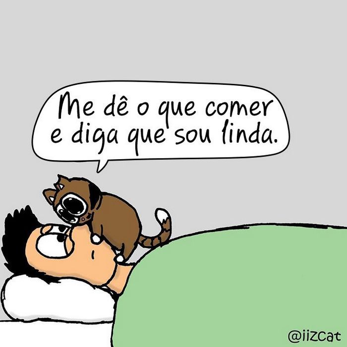 19 divertidas situações da vida quando um gato deixa você morar na casa dele 8